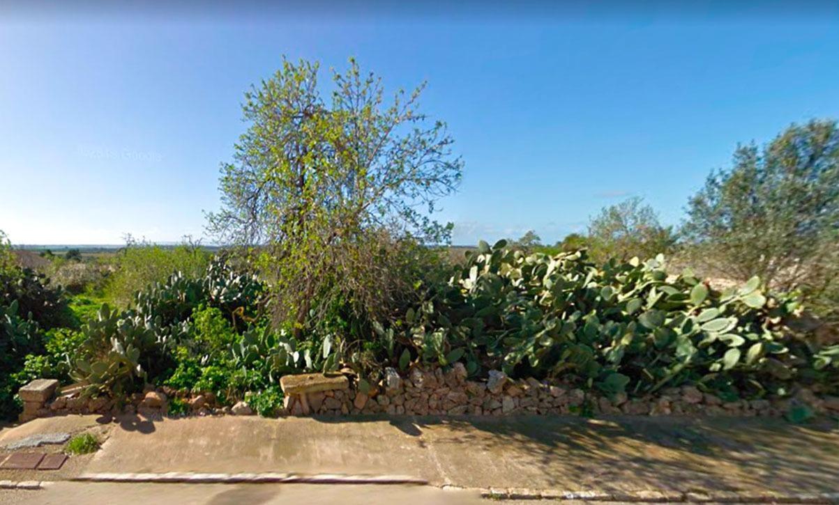 Land in Ses Salines, Islas Baleares for sale Building Photo- Image 1 of 2