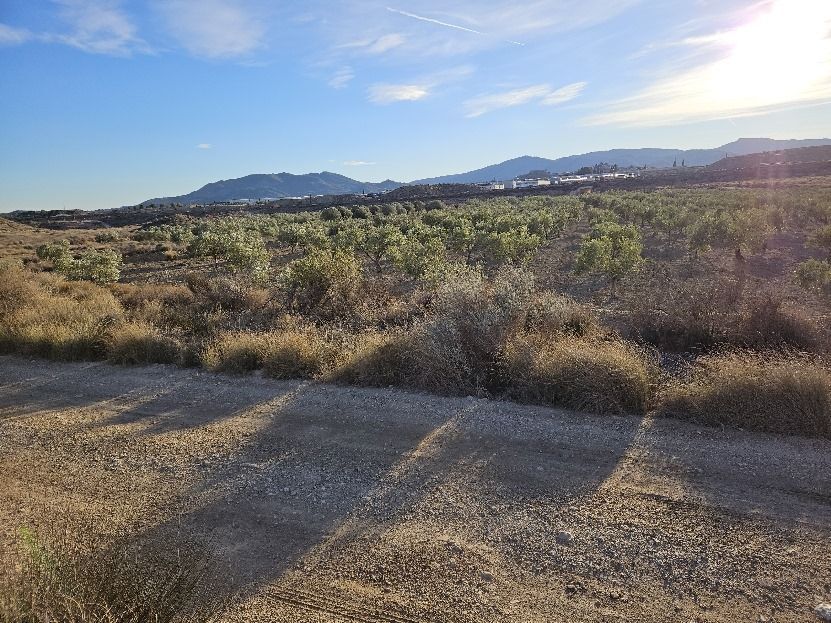 Land in Elda for sale Building Photo- Image 1 of 6