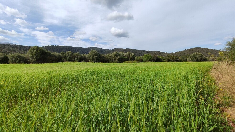 Land in Campanet for sale - Building Photo - Image 3 of 18