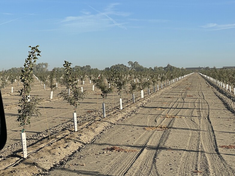 Rd 24, Corcoran, CA for sale - Primary Photo - Image 1 of 1