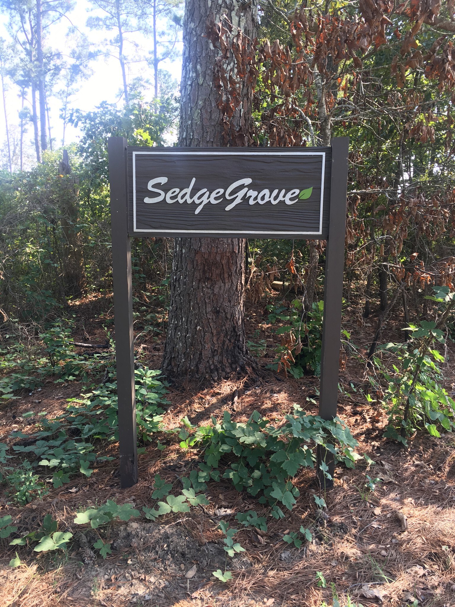 Atway Rd, Holly Springs, MS for sale Primary Photo- Image 1 of 1