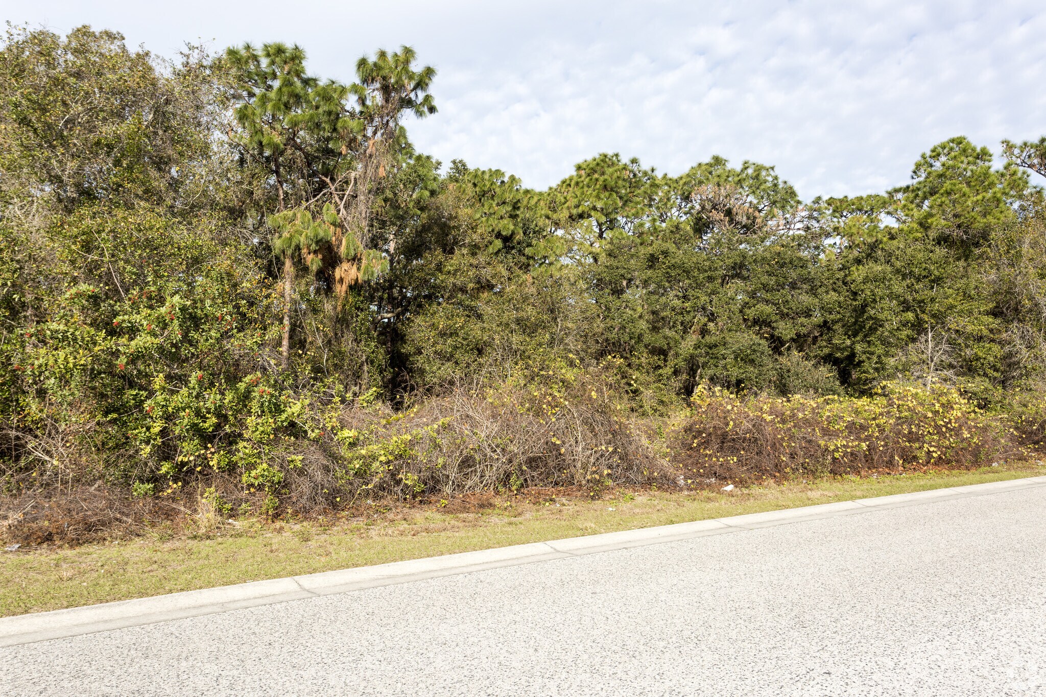 5110 Lena Rd, Bradenton, FL for sale Primary Photo- Image 1 of 1