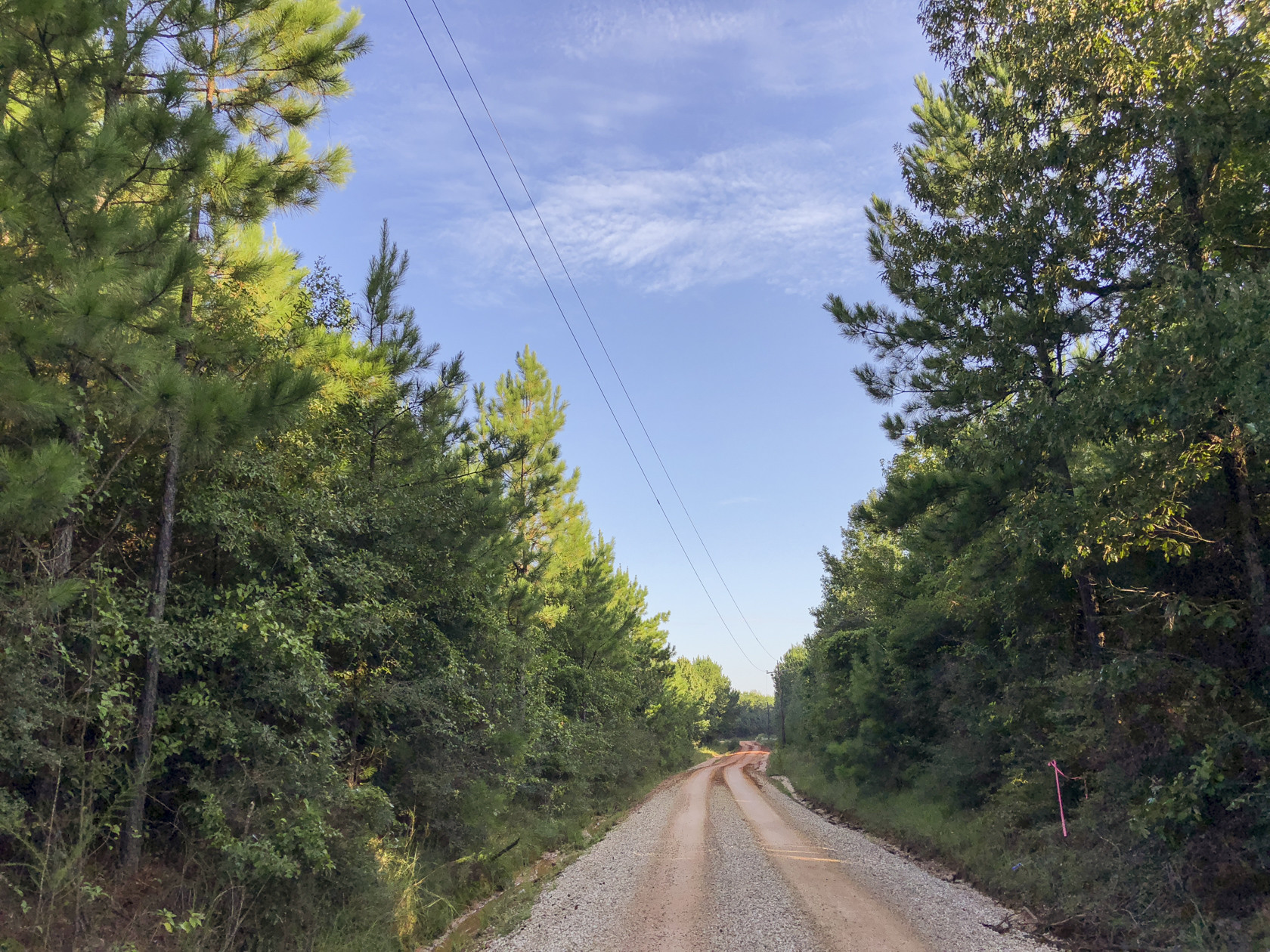 County Line Rd, Livingston, TX for sale Primary Photo- Image 1 of 1