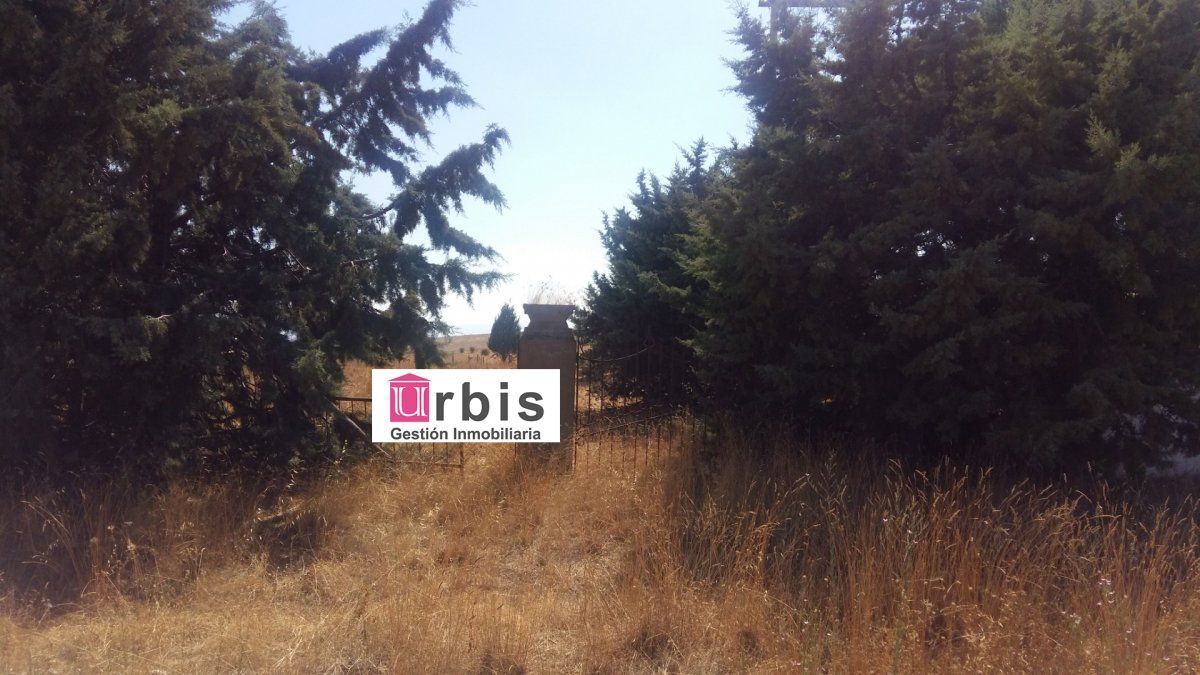 Land in Buenavista for sale Building Photo- Image 1 of 4