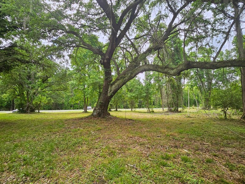 6549 Highway 17 Hwy, Awendaw, SC for sale - Interior Photo - Image 3 of 17