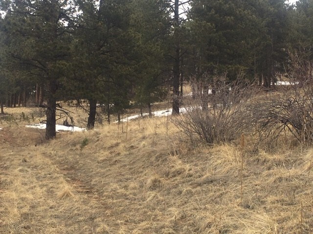 62430 US Highway 285, Bailey, CO for sale Other- Image 1 of 1