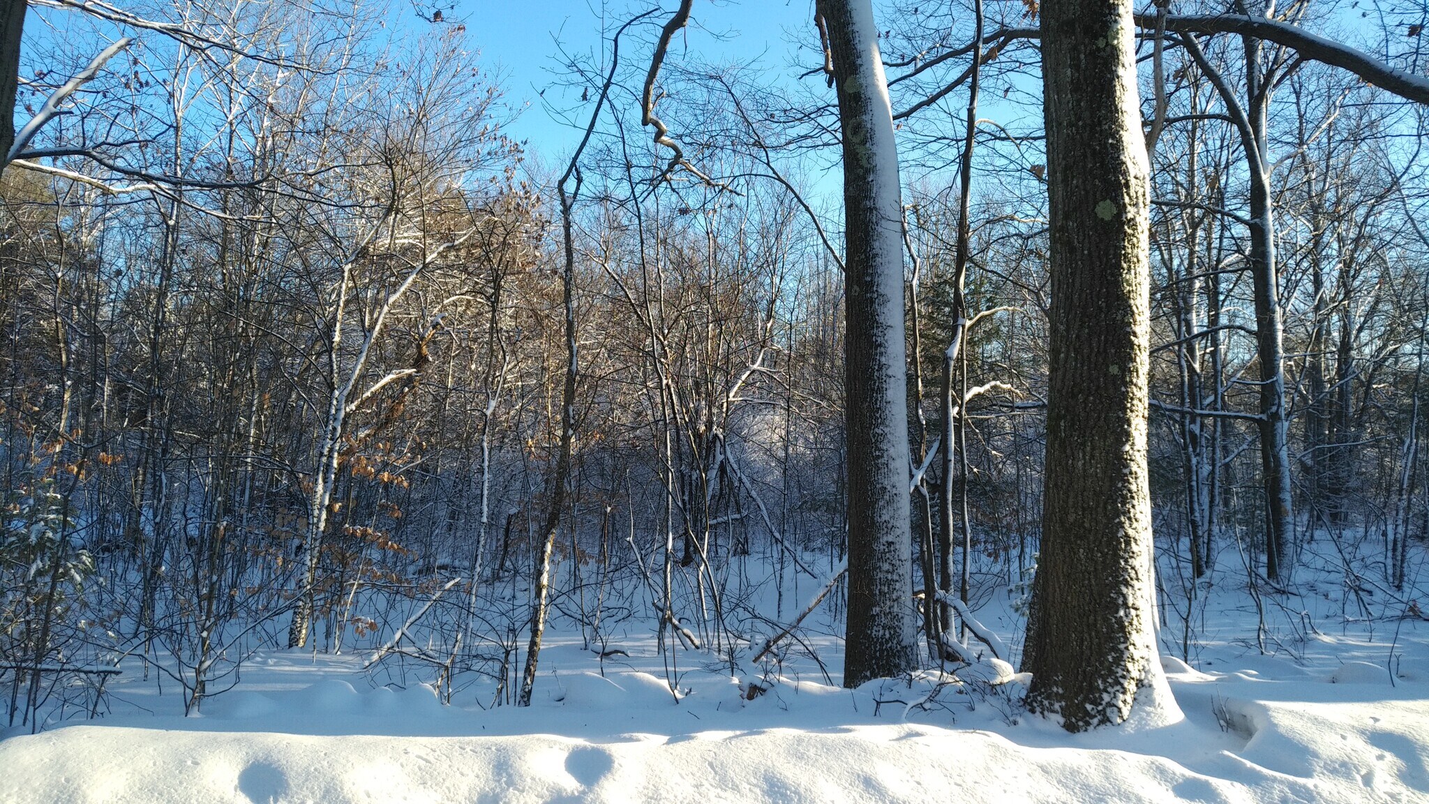 0 Willis Rd, Gardner, MA for sale Primary Photo- Image 1 of 1