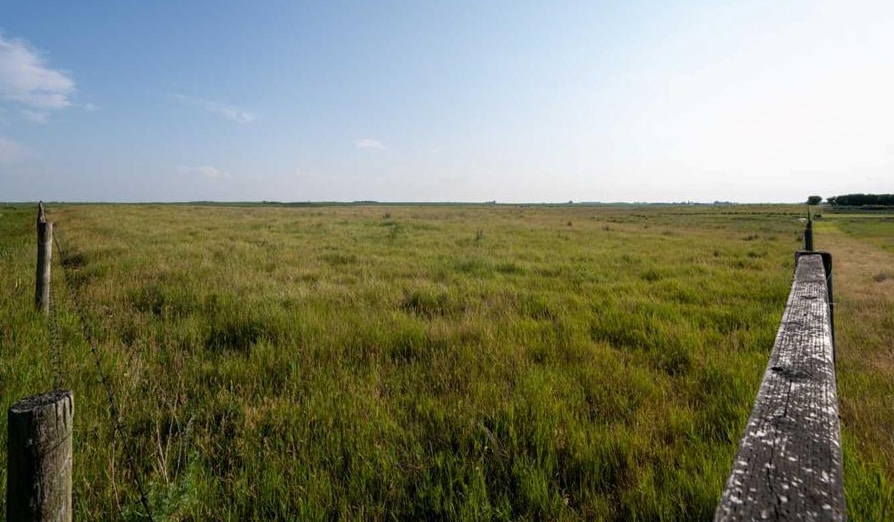 Trans Canada Highway #1 Range 255 Rd, Lyalta, AB for sale - Building Photo - Image 2 of 16