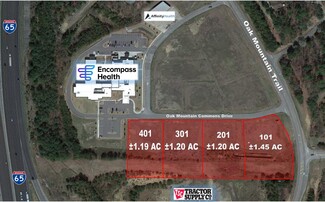 More details for I-65 & County Rd. 52, Pelham, AL - Land for Sale