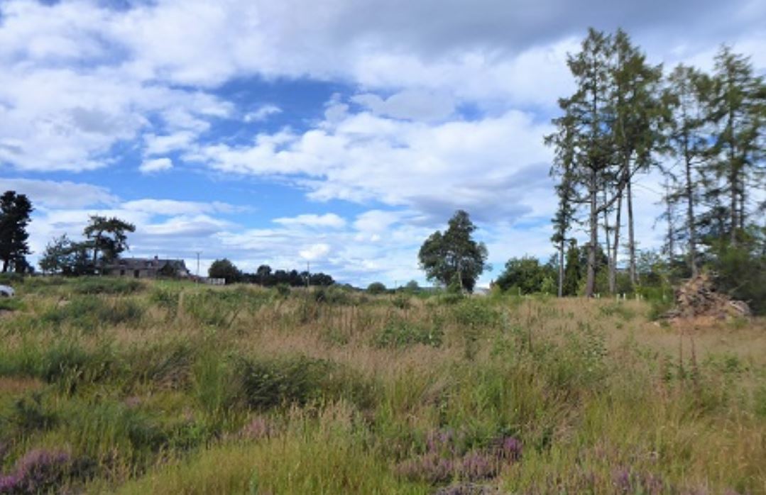 Cossack Wood, Aberlour for sale Primary Photo- Image 1 of 3