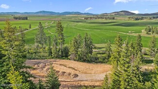 More details for 137 Brown Bear Lane, Plummer, ID - Land for Sale