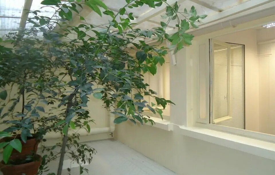 Office in Paris for lease Interior Photo- Image 1 of 9