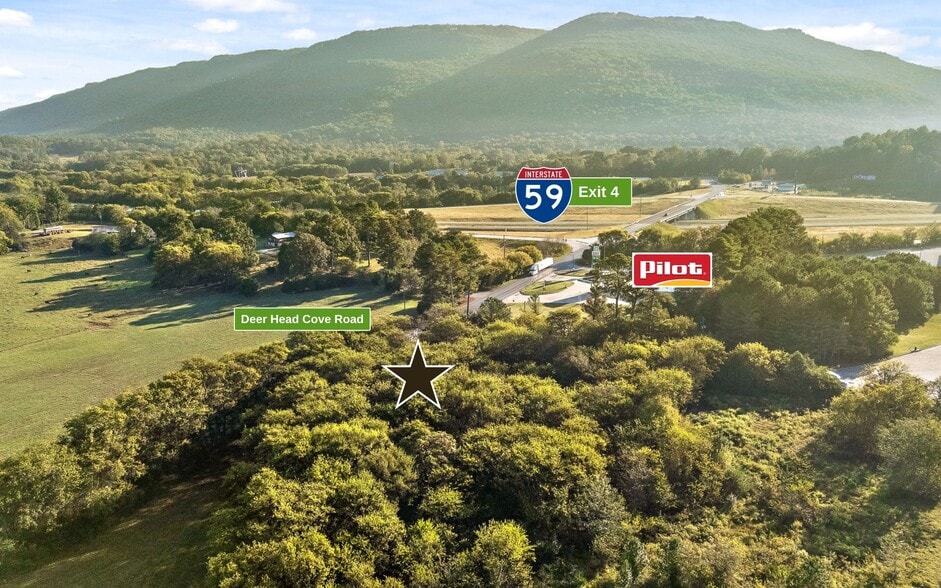 0 Deer Head Cove Road, Rising Fawn, GA for sale - Aerial - Image 3 of 17