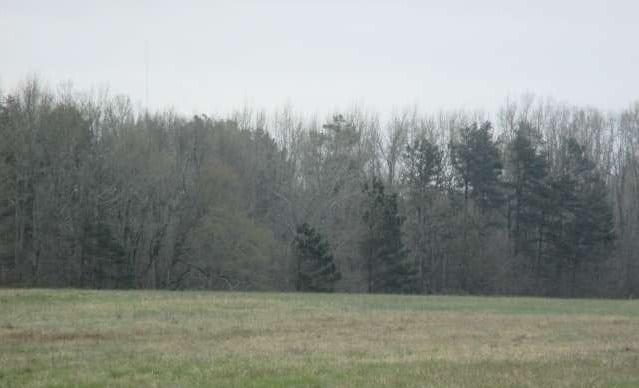 4435 Ridge Rd, Buford, GA for sale - Building Photo - Image 2 of 12