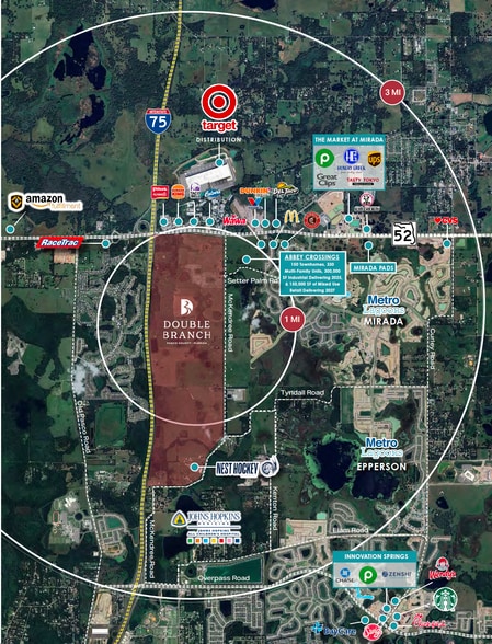 SR 52 & Double Branch Parkway, San Antonio, FL for lease - Building Photo - Image 3 of 4