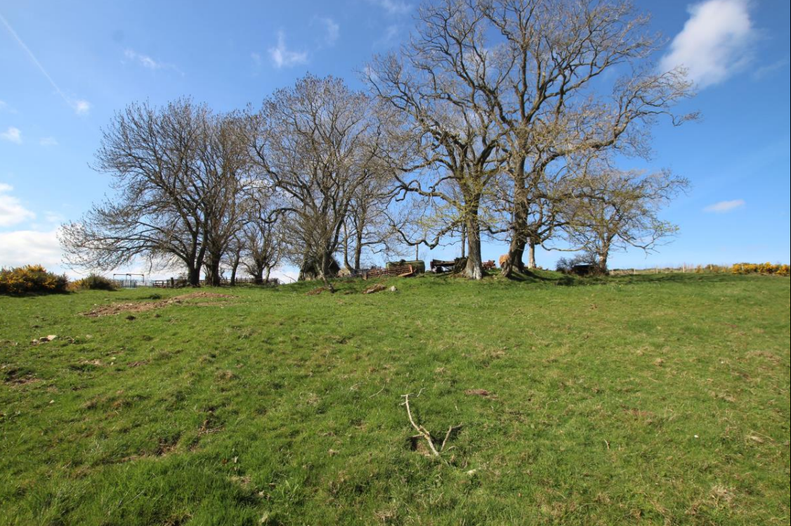 Building Plot at Cotes Cottage, Turriff for sale Building Photo- Image 1 of 2