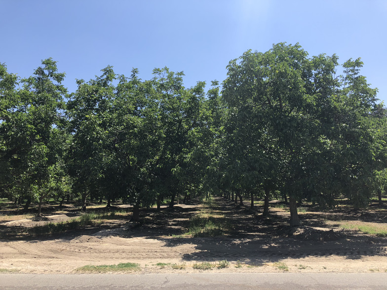 Swc Of Laguna & Cedar Aves, Laton, CA for sale - Other - Image 1 of 1