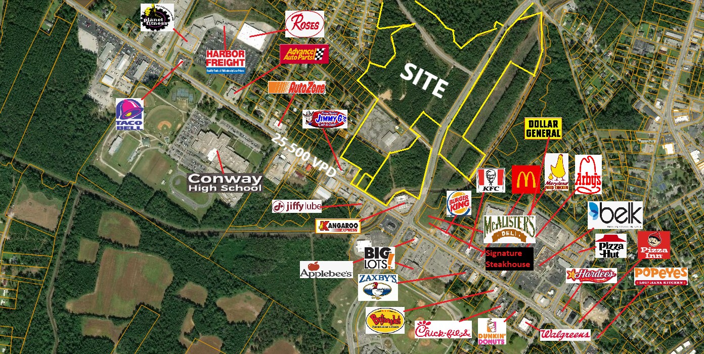 Hwy 501 & Mill Pond Rd, Conway, SC for sale Aerial- Image 1 of 1