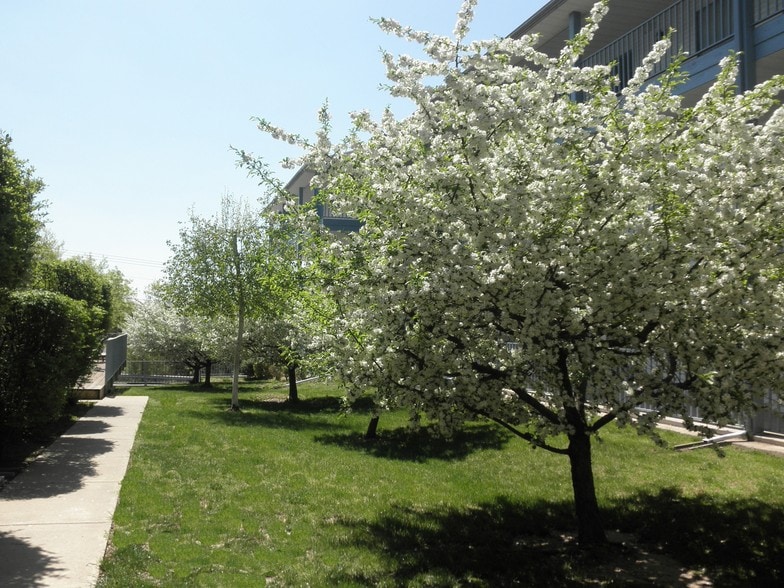 360 Schaefer Dr, Branson, MO for sale - Building Photo - Image 3 of 13