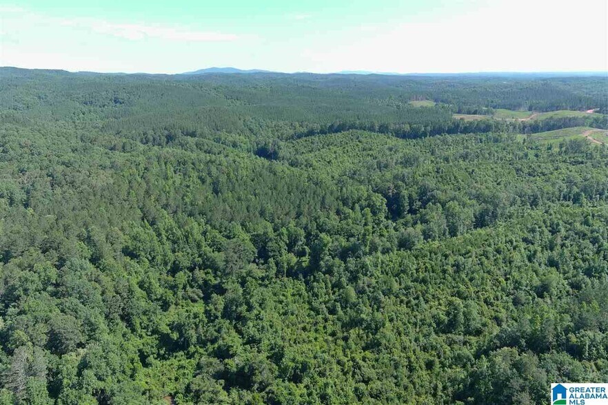 0 County Rd 61, Fruithurst, AL 36262 Land for Sale