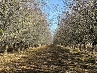 More details for Fairfax Ave and Jensen ave, Firebaugh, CA - Land for Sale