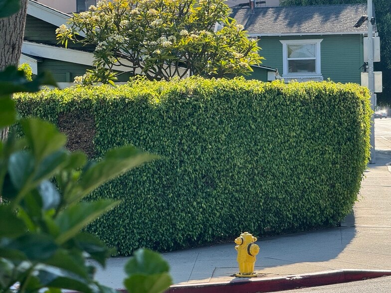 1253 N Orange Grove Ave, West Hollywood, CA for sale - Building Photo - Image 3 of 6