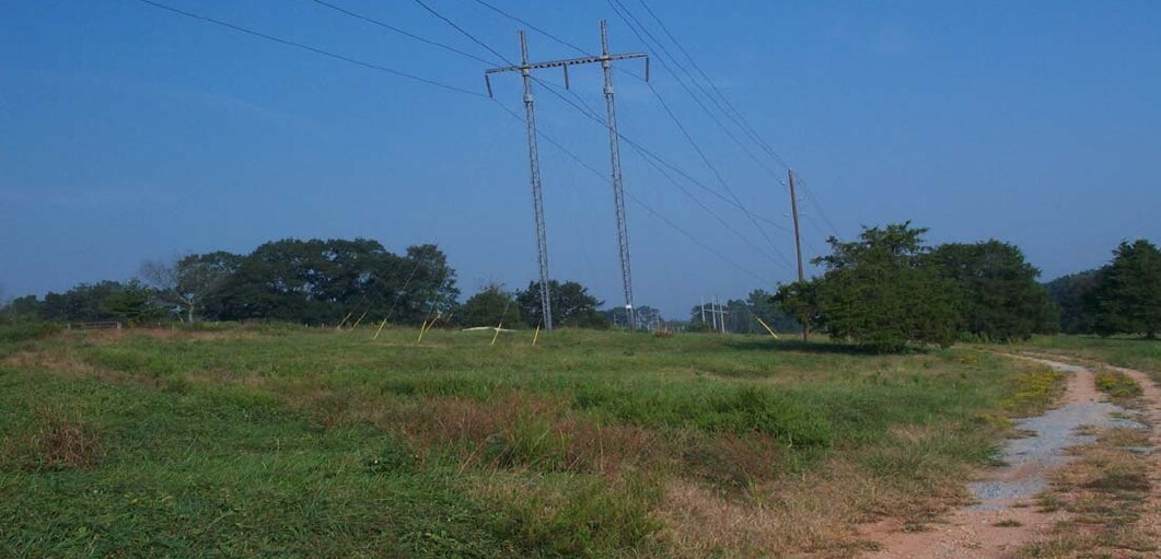1421 Wayne Poultry Rd, Pendergrass, GA for sale Primary Photo- Image 1 of 1
