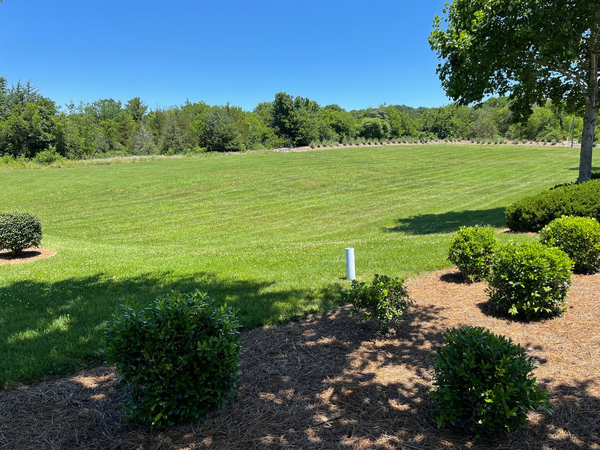 2030 Johnson Ind Blvd, Nolensville, TN for sale Construction Photo- Image 1 of 4