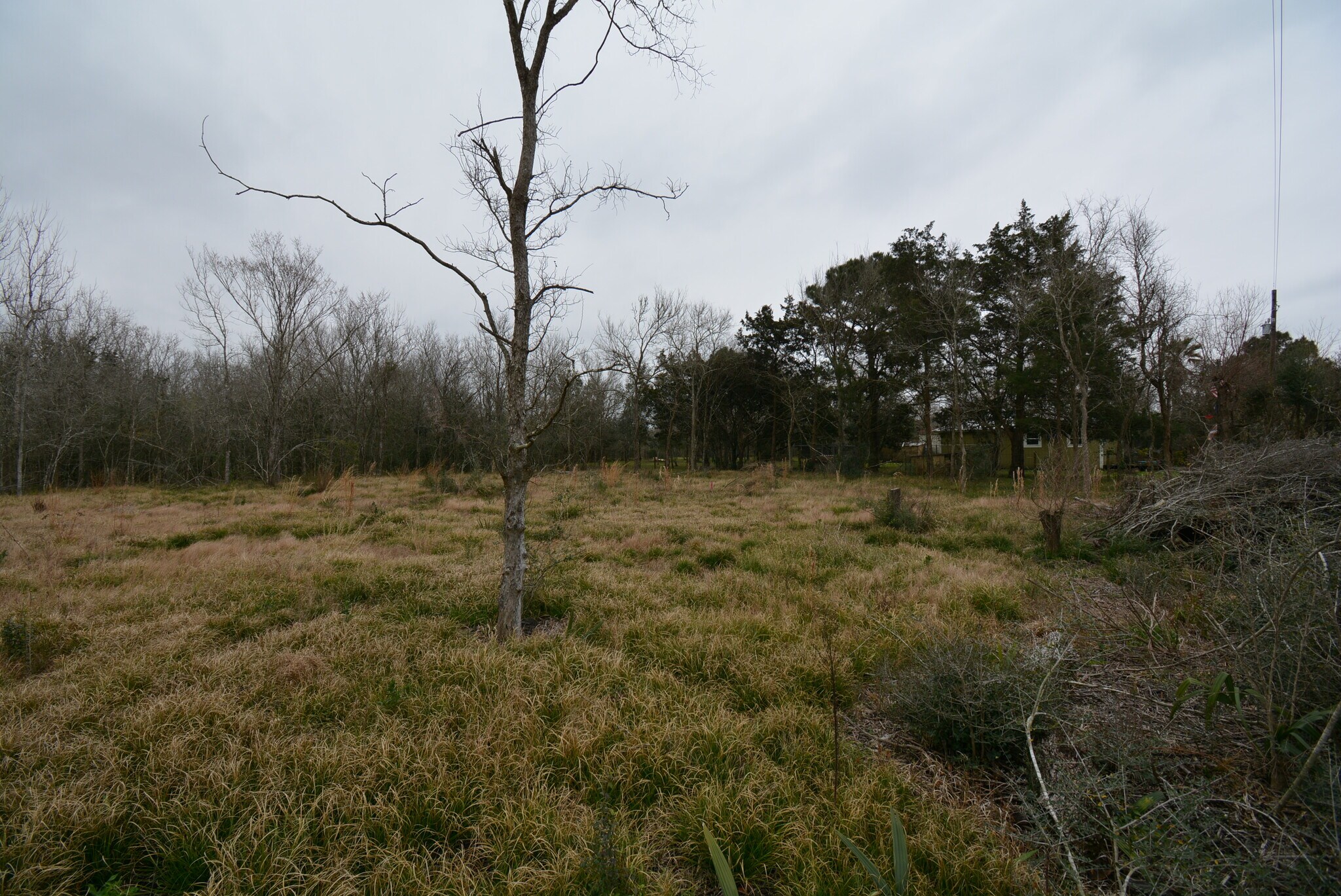 458 Riverside, Angleton, TX for sale Building Photo- Image 1 of 1