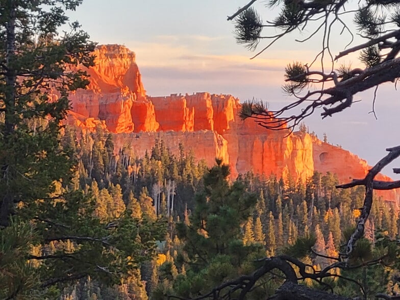 1395 Canyon Breeze Dr, Duck Creek Village, UT for sale - Primary Photo - Image 1 of 11