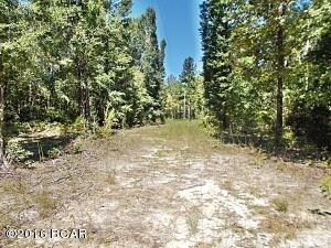 15313 State Road 20 Rd, Blountstown, FL for sale Primary Photo- Image 1 of 1