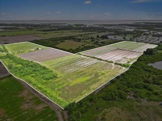 Gulf City Rd, Ruskin, FL for sale - Aerial - Image 2 of 6