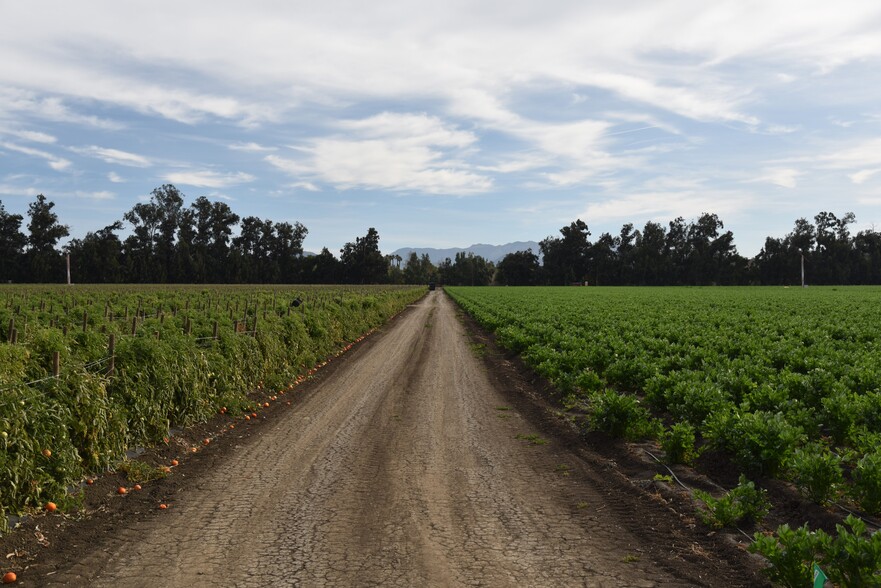 3425 Wright Rd, Camarillo, CA for sale - Building Photo - Image 3 of 19