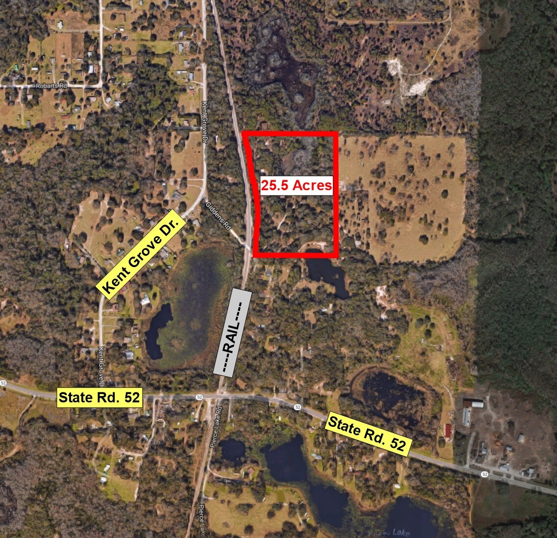 11801 Us Highway 41, Spring Hill, FL for sale Primary Photo- Image 1 of 1