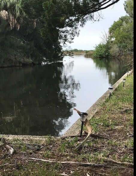 Shine Ln, Spring Hill, FL for sale - Primary Photo - Image 1 of 1