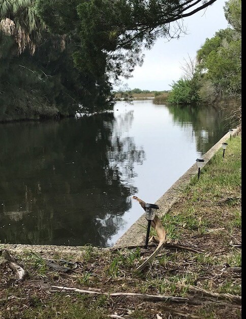 Shine Ln, Spring Hill, FL for sale Primary Photo- Image 1 of 1