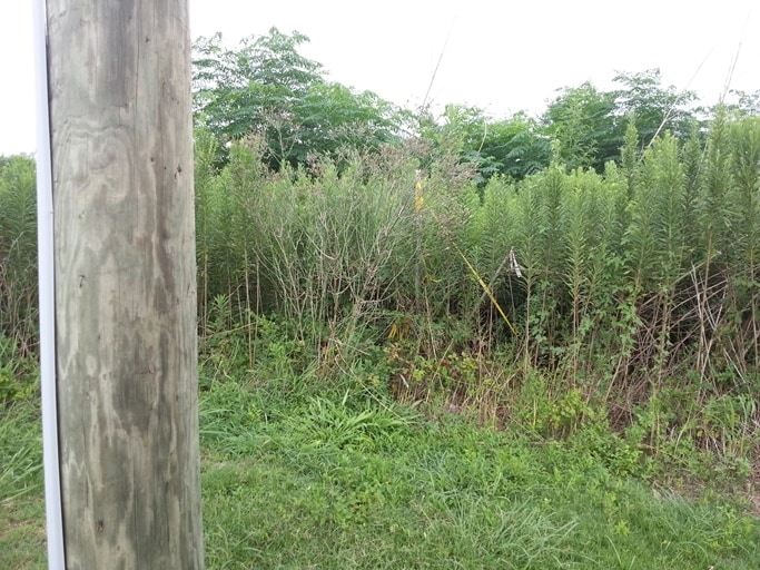 4333 Dixie Farm Rd, Pearland, TX 77581