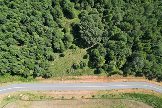 1442 Bird Hammond Rd, Winder, GA - aerial  map view - Image1