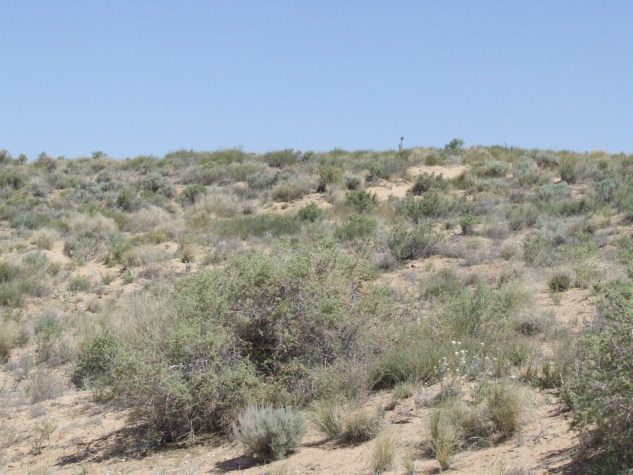 1 Unit 13, Rio Rancho, NM for sale Other- Image 1 of 1