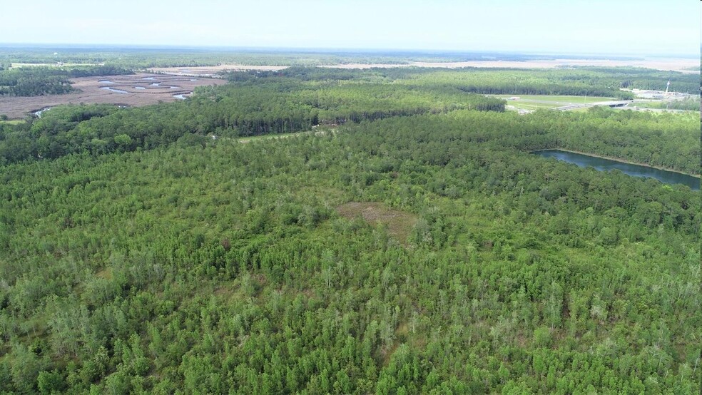 Laurel Island Park Way Pky, Kingsland, GA for sale - Aerial - Image 3 of 6