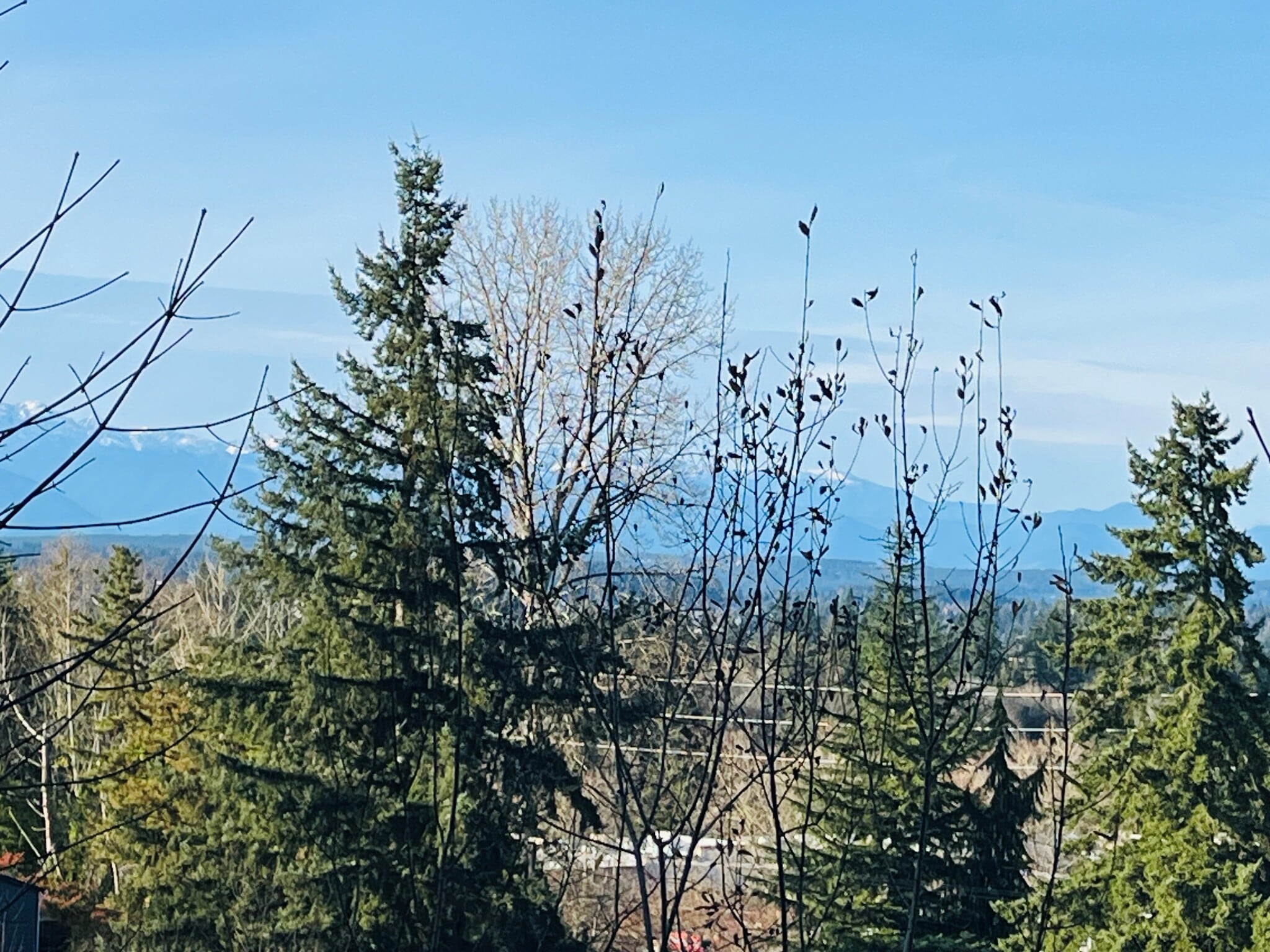 SE Mile Hill Dr, Port Orchard, WA for sale Building Photo- Image 1 of 9