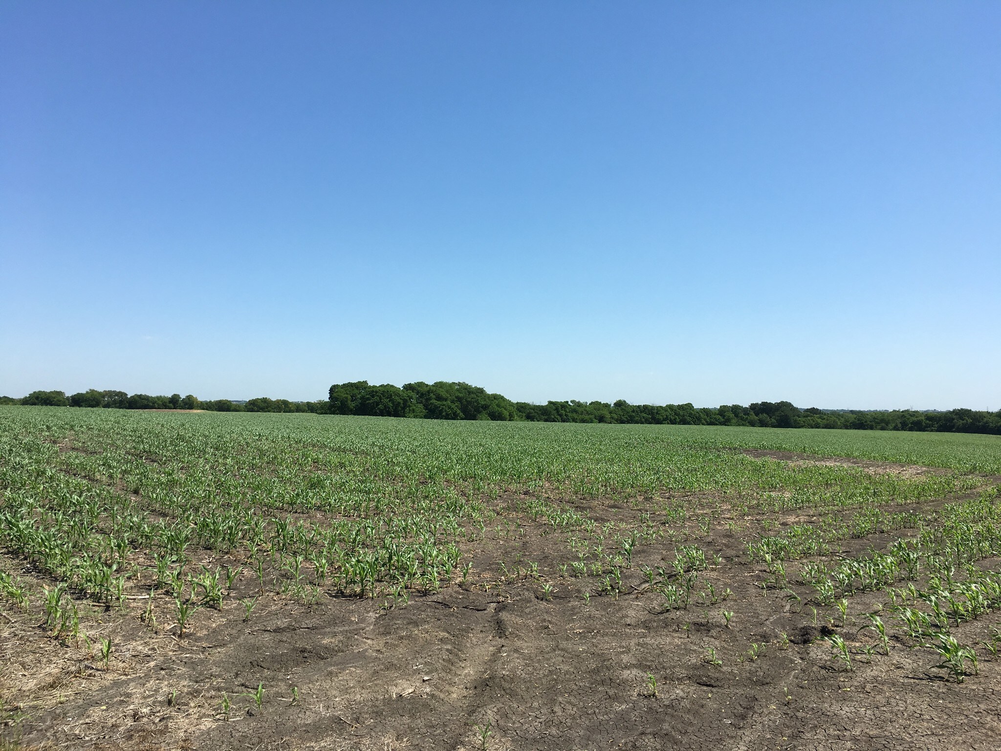 COUNTY ROAD 128, Celina, TX for sale Other- Image 1 of 1