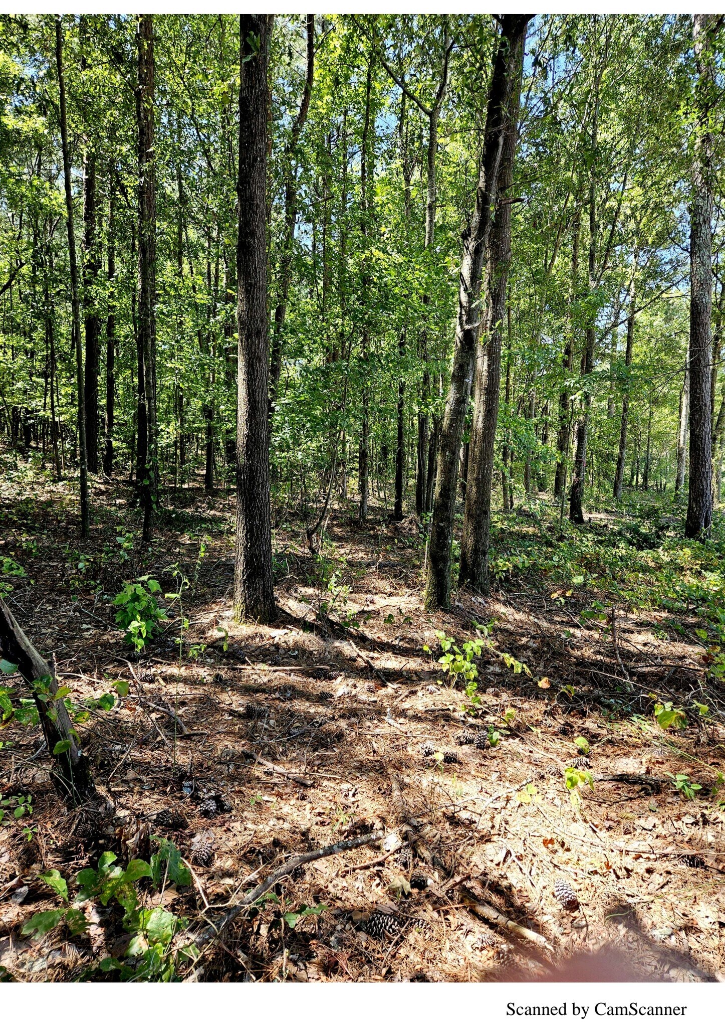 0 Carl-Midway Church Rd, Auburn, GA for sale Other- Image 1 of 1