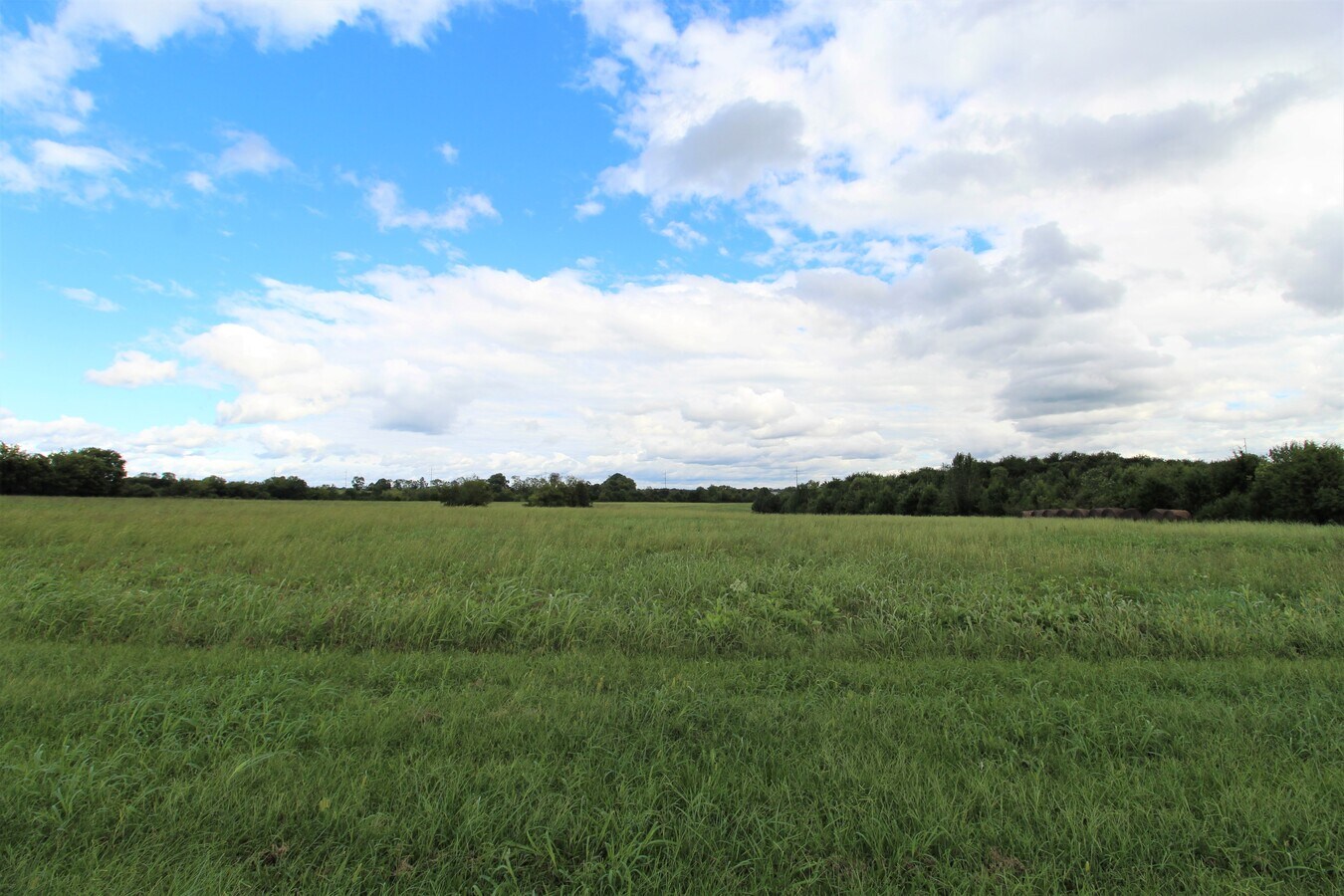 View Photo