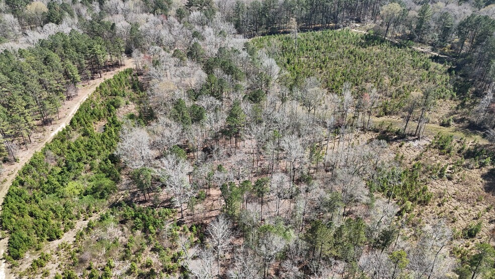 132 Wessinger Ln, Columbia, SC for sale - Aerial - Image 3 of 6