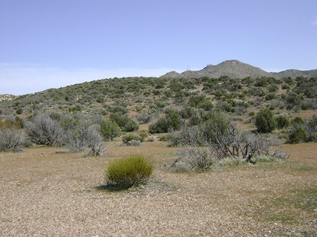 Carrizo Gorge Rd, Jacumba, CA for sale Primary Photo- Image 1 of 1