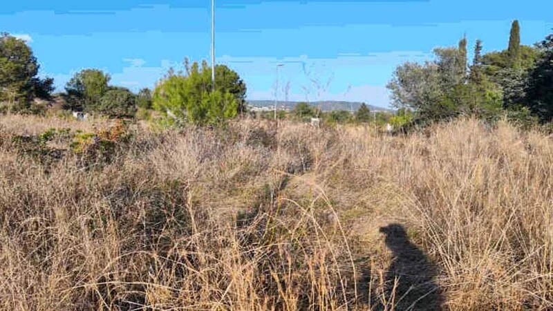 Carrer del Romani, Creixell, Tarragona for sale - Building Photo - Image 3 of 4