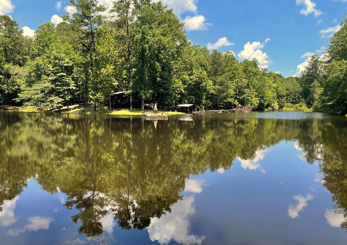 17796 Dry Branch loop, Northport, AL for sale - Other - Image 2 of 86
