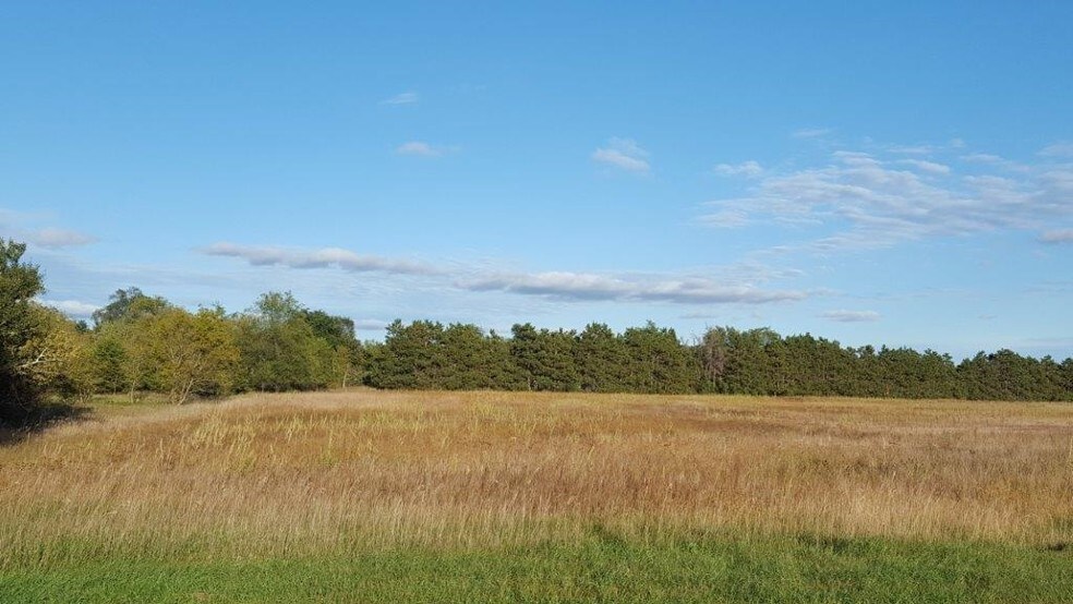 S Birch St, Royalton, MN for sale - Building Photo - Image 1 of 1