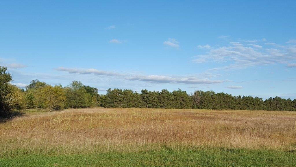 S Birch St, Royalton, MN for sale Building Photo- Image 1 of 1